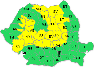 cod-galben-ninsori