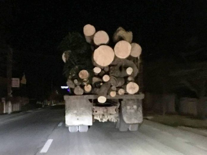 transport-lemne-ilegal-vrancea-bolotesti