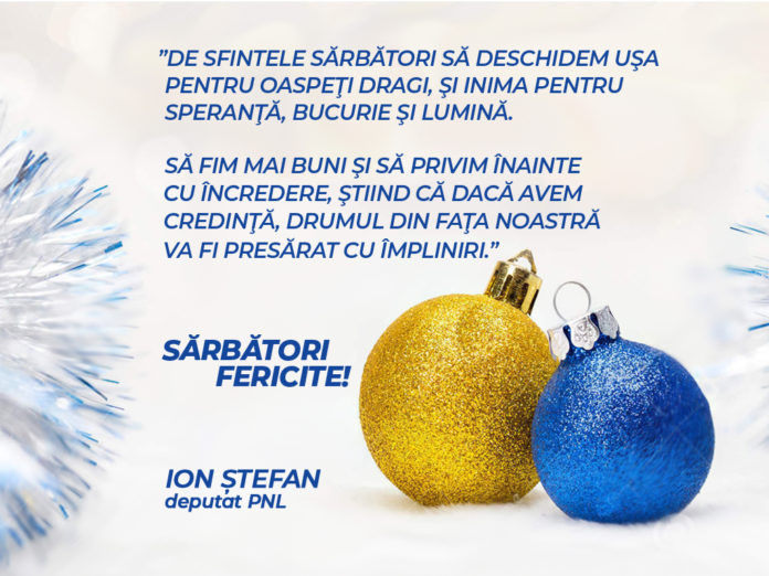 felicitare stefan copy
