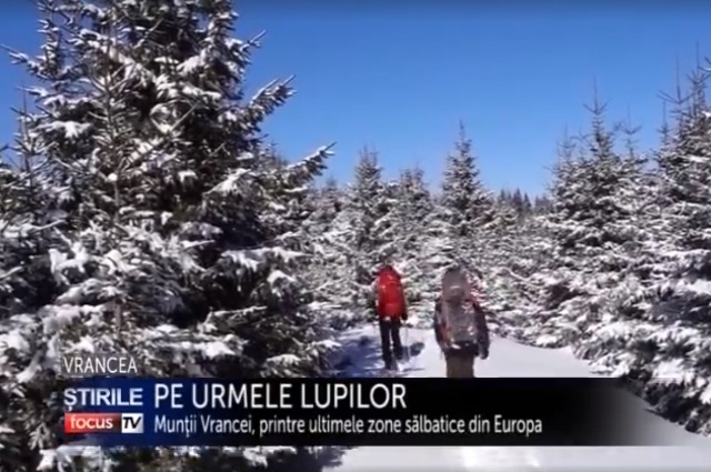 muntii-vrancei